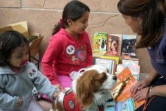 Meet Freckles who is a reading therapy dog...