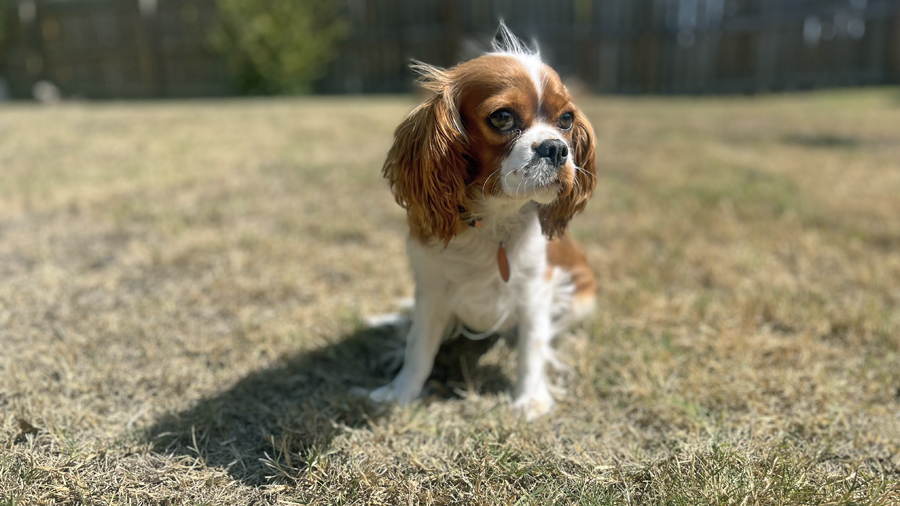 Kassie in Tulsa, OK