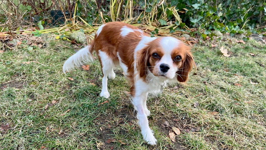 Tessa in Portland, ME